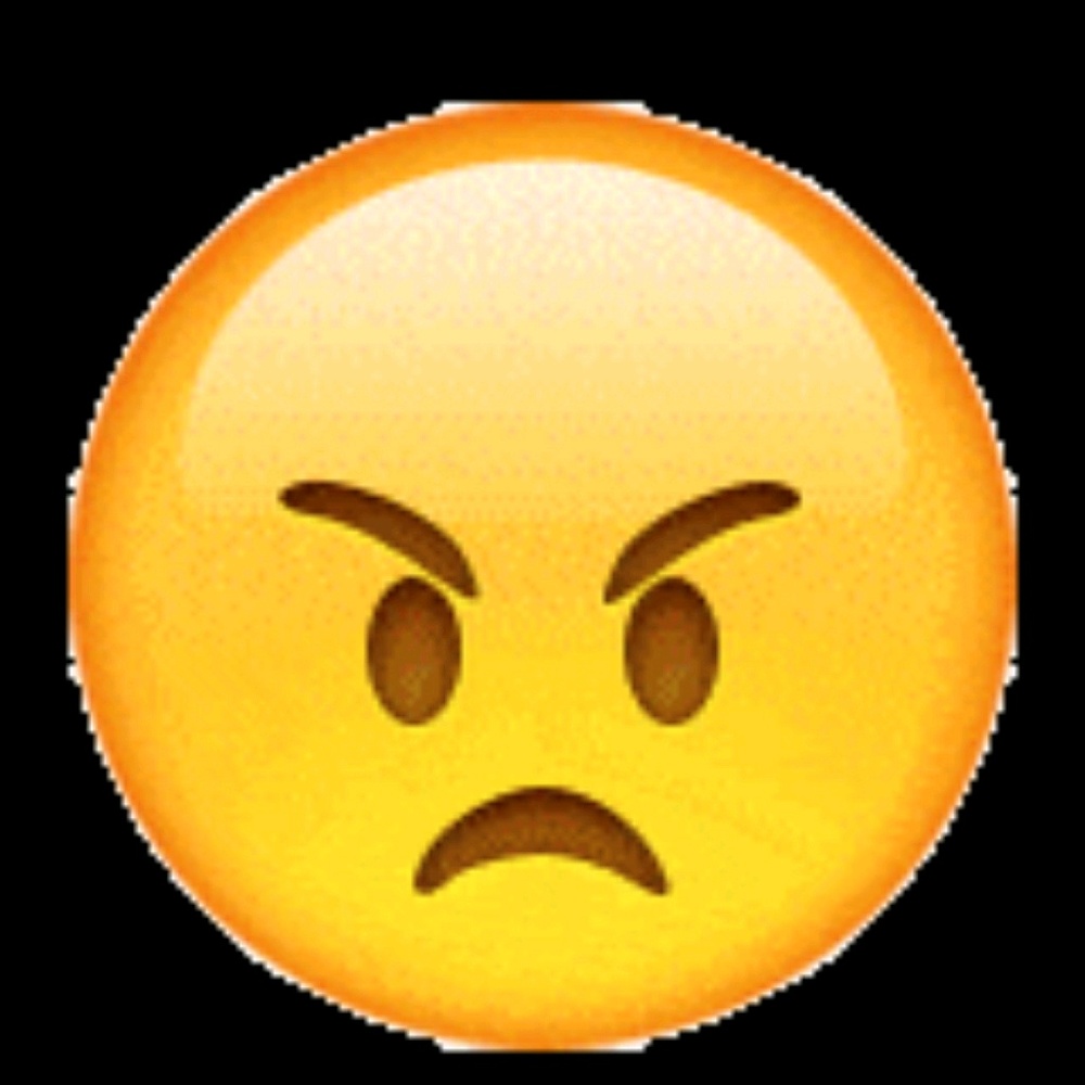 Meet your Posher, Teddy